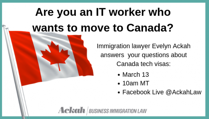 Do You Want a Tech Visa to Canada?