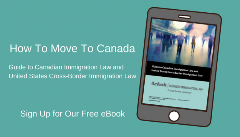 Guide to Canadian Immigration Law and United States Cross-Border Immigration Law: Free eBook