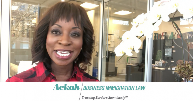 What is Cross-Border Business Immigration Law?