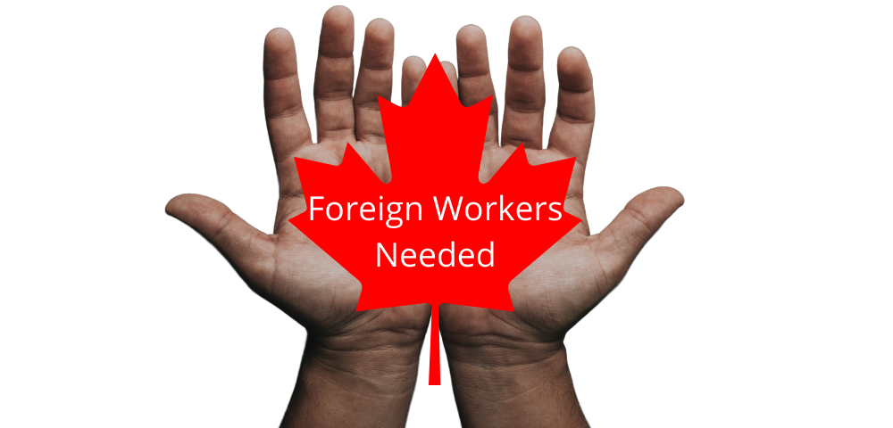 Forign Labour Canada Is Recruiting Foreign Workers During Labour Shortage | Ackah Law ...