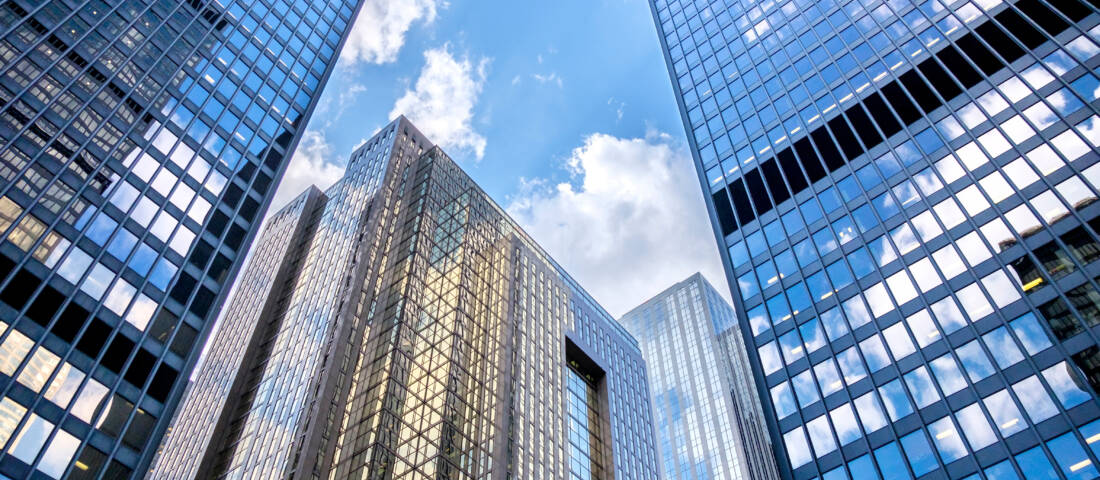 CEO’s Guide to Building a Global Team in Canada