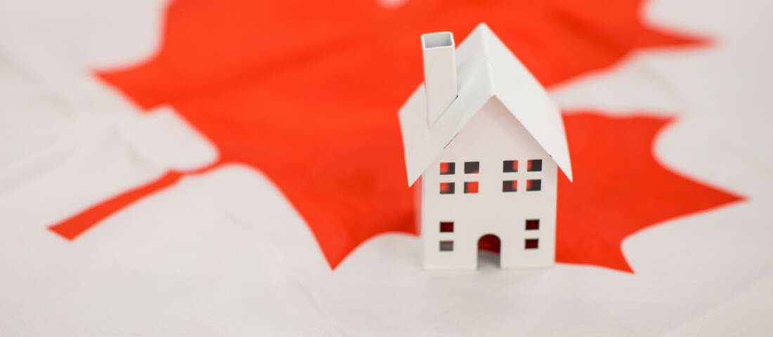 Tech Workers Head to Calgary and Edmonton In U.S. Brain Drain