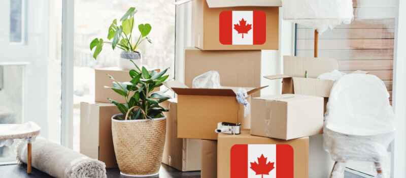 62% of New Permanent Residents in 2021 Were Economic Immigrants: Is Your Express Entry Profile Updated?