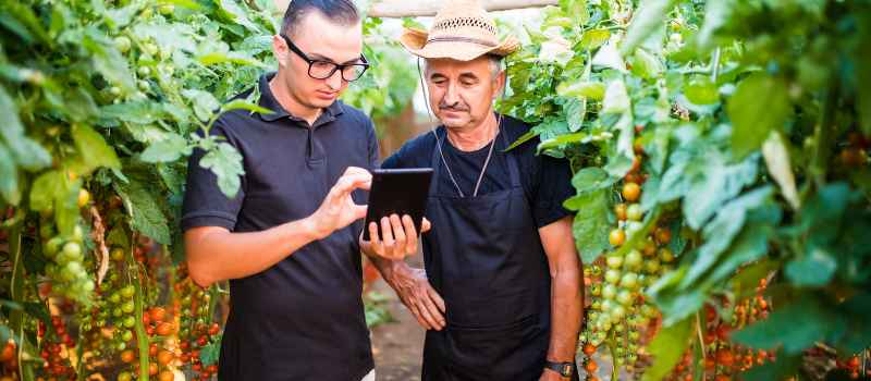 Canada's New Agri-Food Immigration Pilot for Permanent Residence