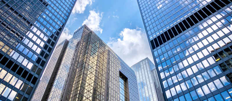 CEO’s Guide to Building a Global Team in Canada