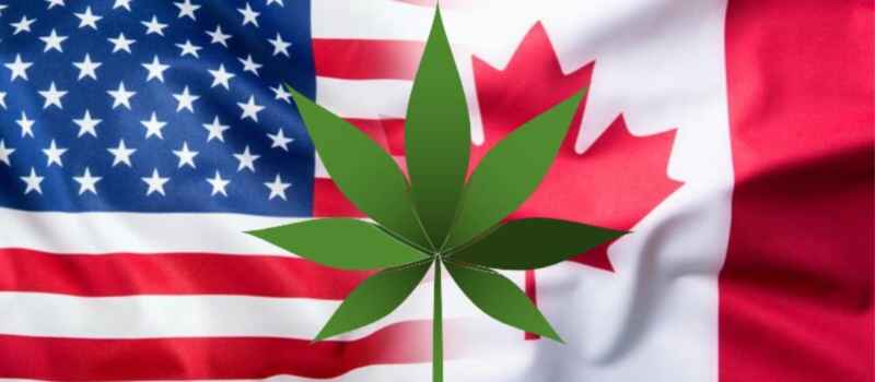 Cannabis Pardons, Visa Waivers and Cross Border Travel - Download Our eBook