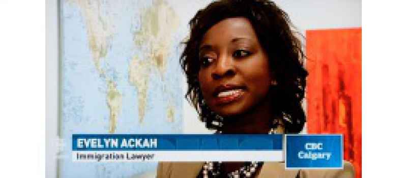 CBC News — the Syrian refugee crisis