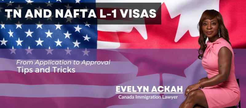 Watch: NAFTA TN and L-1 Visas: From Application to Approval Tips and Tricks